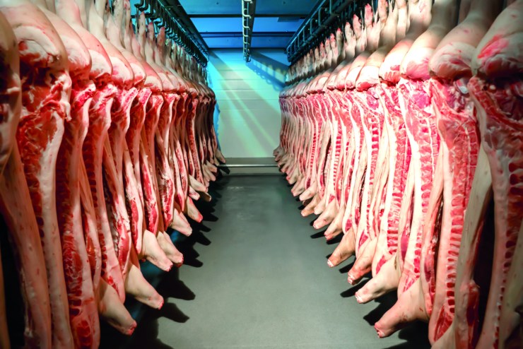 Exportações de carne suína batem recorde em 2025 e Brasil deve superar Canadá