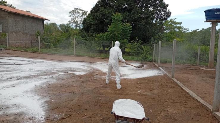 Indea-MT controla foco de gripe aviária após seis dias de vigilância intensiva