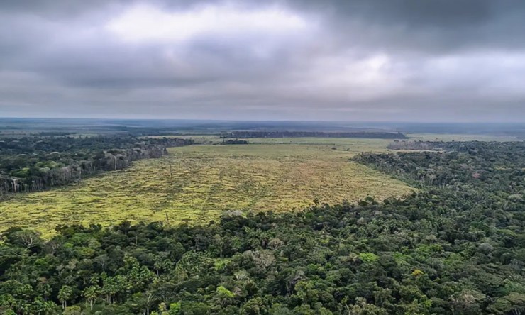 Lei que pune participantes da Moratória da Soja volta a valer em Mato Grosso
