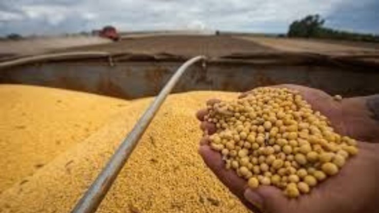 Mato Grosso regulamenta incentivos ao agro e antecipa debate sobre Moratória da Soja