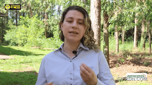 Processamento da soja é essencial para garantir desempenho e segurança na nutrição animal