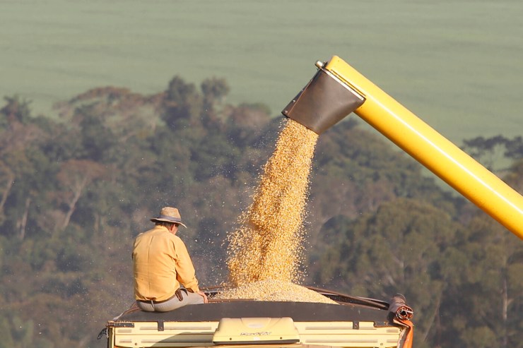 Tecnologia e manejo do milho pautam abertura oficial da colheita no Rio Grande do Sul