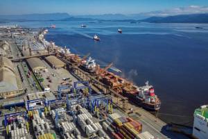 China recebe primeira carga brasileira de insumo para ração feito de milho