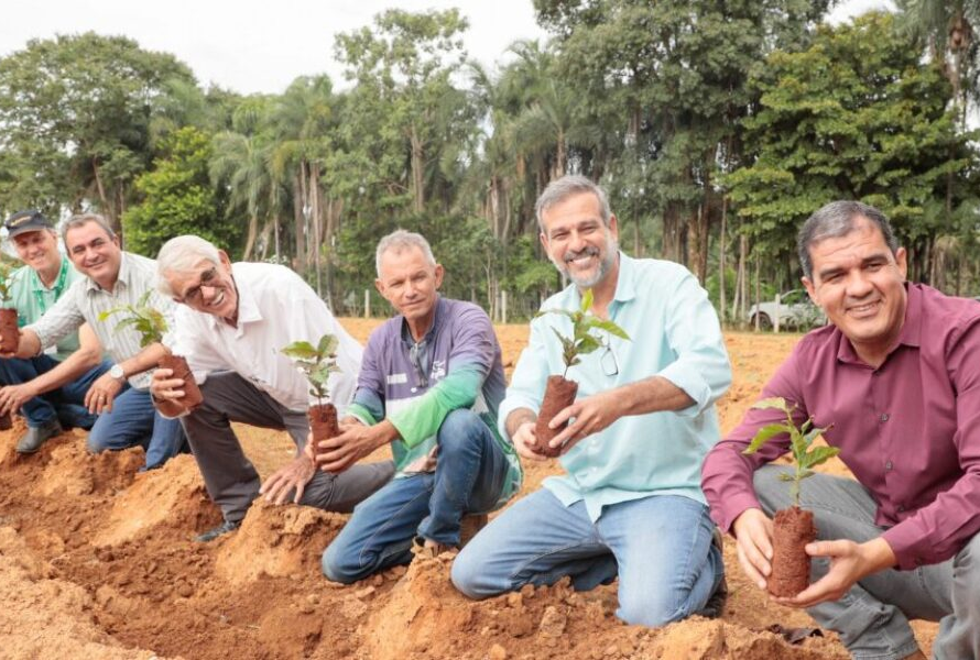 Emater Goiás aposta no café e fortalece o cultivo em Goianésia