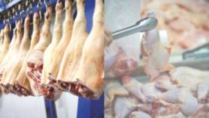 Exportações de carne de frango e suína iniciam 2026 com crescimento nos embarques