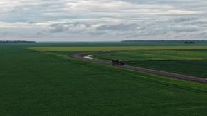 Gargalos logísticos pressionam custos e desafiam a qualidade da produção em Mato Grosso