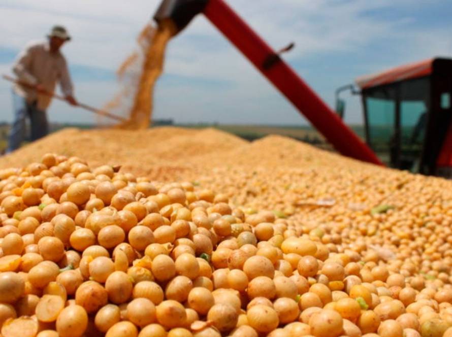 Goiás caminha para a segunda maior safra de grãos da história