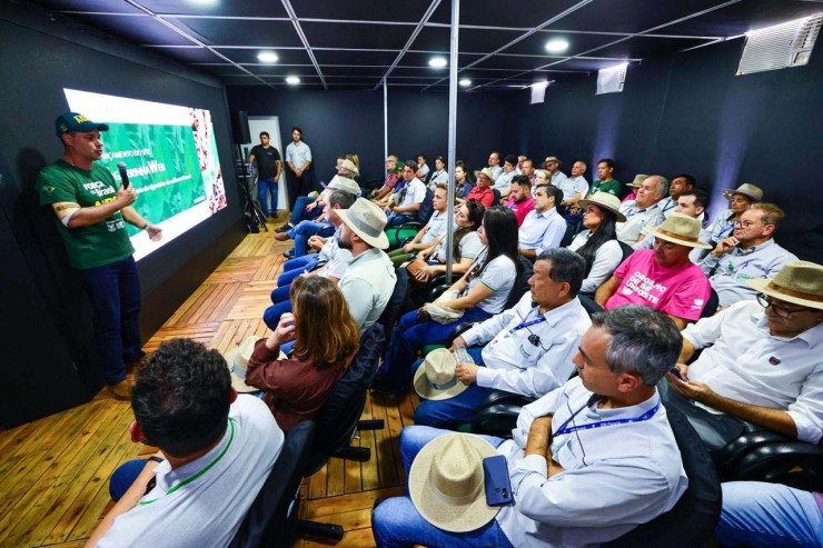Paraná lança plataforma inédita para monitorar cigarrinha-do-milho
