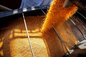 Alta nas exportações de soja impulsiona aumento dos fretes