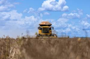 Aprosoja MT destaca importância do campo para toda a sociedade no Dia Mundial da Agricultura