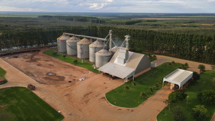 Déficit de armazenagem pressiona produtores e reduz rentabilidade em Mato Grosso