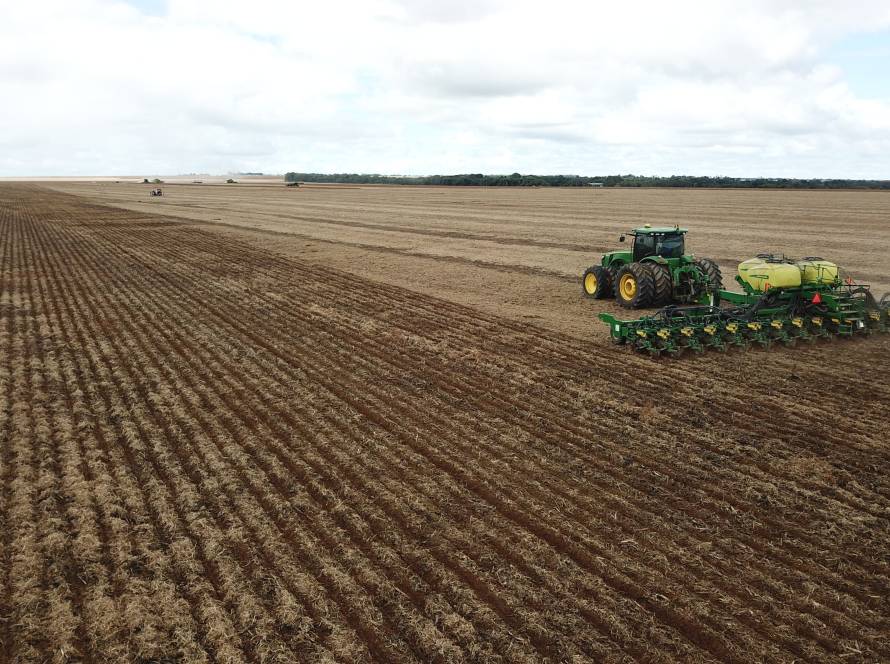 Excesso de chuvas preocupa produtores e impacta plantio do milho em Mato Grosso