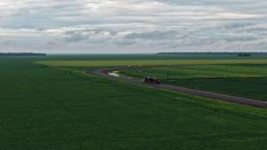 Gargalos logísticos pressionam custos e desafiam a qualidade da produção no Mato Grosso