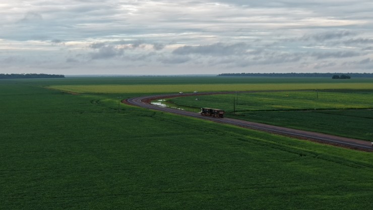 Gargalos logísticos pressionam custos e desafiam a qualidade da produção no Mato Grosso
