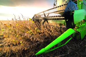 Produção de soja do Paraguai pode atingir 11,8 milhões de toneladas