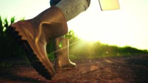 Transição para economia de baixo carbono pode redefinir empregos no agro em Mato Grosso