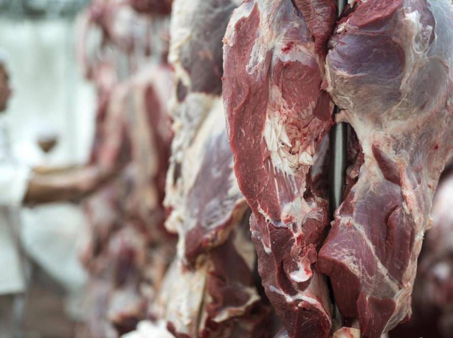 União Europeia paga o melhor preço pela carne de Mato Grosso no mercado internacional