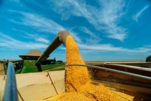 Mato Grosso se consolida como maior produtor de etanol de milho do Brasil