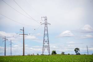 Produtores rurais do Mato Grosso cobram melhorias no fornecimento de energia elétrica