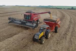 Safra de soja deve alcançar 179,7 milhões de toneladas enquanto primeira safra de milho cresce 6,6%