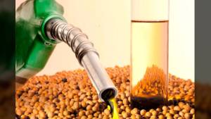 Produção de biodiesel cresce e Mato Grosso responde por 26% do volume nacional