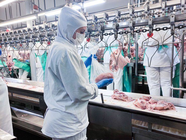 Agro bate recordes de exportação enquanto fiscalização sanitária opera no limite