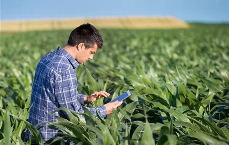 Agro mais que dobra empregos em MT e se consolida como principal motor de trabalho e renda