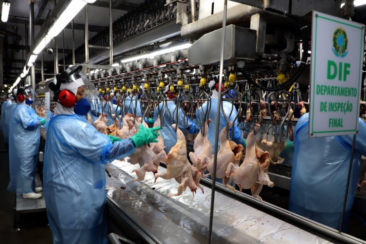 Exportações de frango atingem maior volume da história no quadrimestre