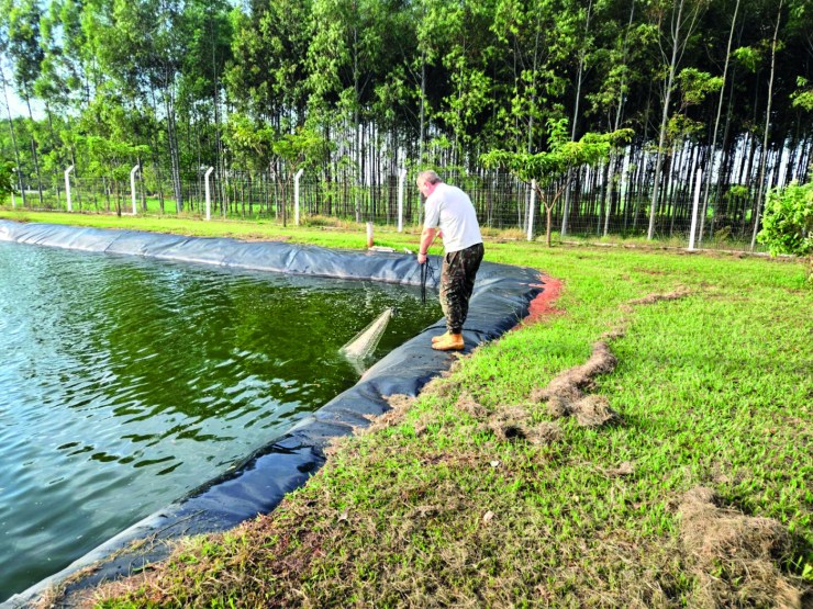 Propriedade de Mato Grosso do Sul cria oito espécies de peixes com uso reduzido de ração