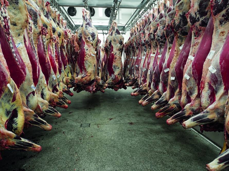 Exportações de carne bovina somam 1,36 milhão de toneladas em 2026