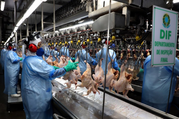 Exportações de carne de frango superam US$ 1 bilhão pela primeira vez na história