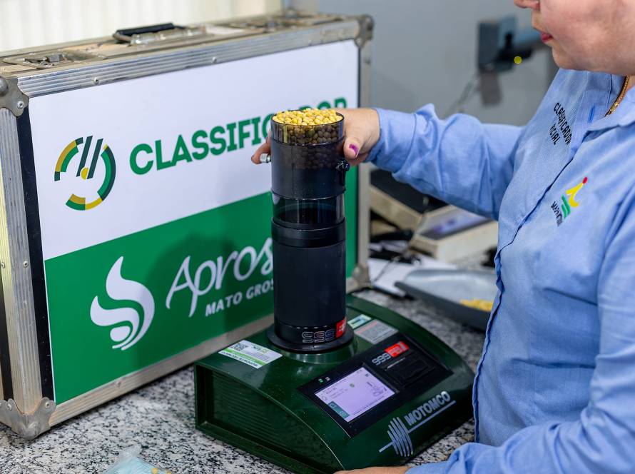 Classificador Legal auxilia produtores no diagnóstico de grãos ardidos e reforça manejo fitossanitário em Mato Grosso