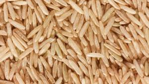 Arroz de terras altas: veja como reduzir perdas com a seca