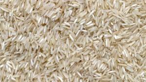 Arroz irrigado: planeje a rotação e reduza riscos no campo
