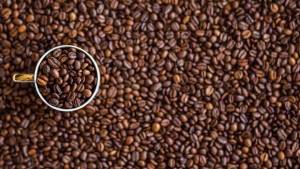 Colheita de café chega a 93% no Cerrado Mineiro