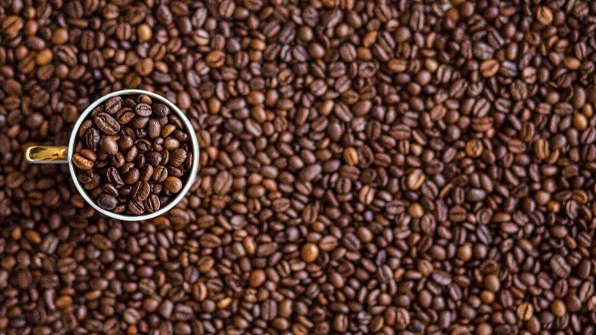 Colheita de café chega a 93% no Cerrado Mineiro