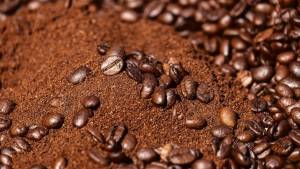 Colheita do café arábica avança, mas qualidade da safra preocupa o setor