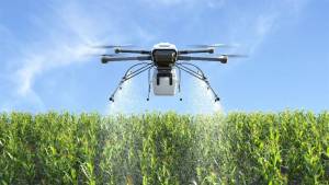 Drones e IA antecipam rendimento do milho com alta precisão