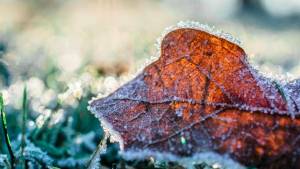 Frio avança pelo Brasil e temperaturas despencam