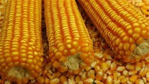 No mercado físico, as negociações permanecem pontuais