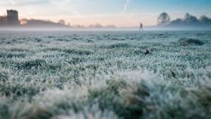 7 de Setembro: feriado terá onda de frio em 16 estados e temperatura de até -6°C