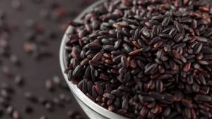 Arroz negro ganha espaço entre produtores