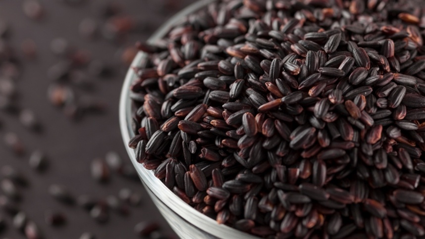 Arroz negro ganha espaço entre produtores