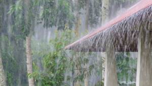Frente fria: veja onde SP e RJ terão chuva forte e temporais