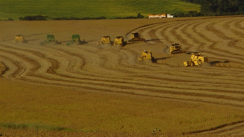 Paraná chega a 3,4% da área de soja plantada