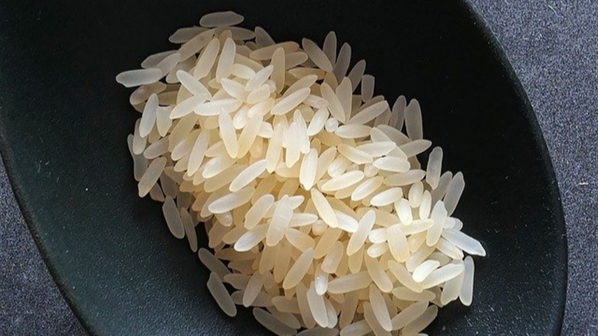 Plantio do arroz irrigado: veja como escolher a melhor época