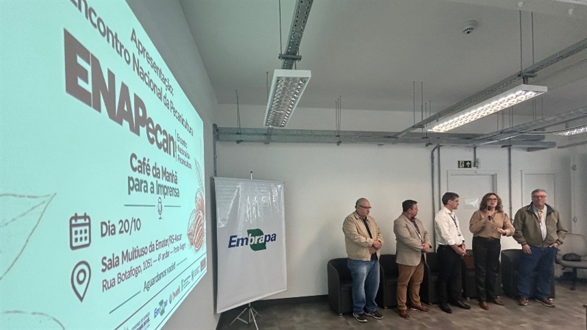 ENAPecan vai reunir cadeia da noz-pecã após safra de recuperação no RS