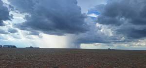 Notícias Agrícolas encontra diferentes largadas em MT: de lavouras mirando 80 sc/ha a plantio parado por falta de chuva