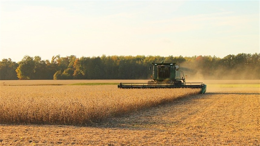 Plantio da soja chega a 15,6% da área nacional