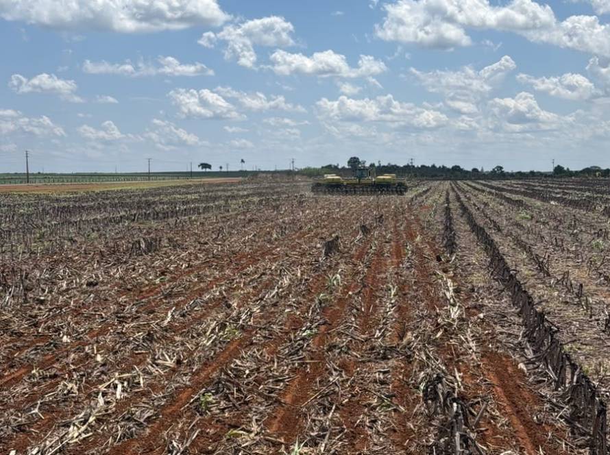 Umidade do solo em Mato Grosso segue abaixo da média histórica e preocupa para o avanço do plantio da soja, aponta EarthDaily